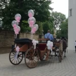 Ballon-in-Ballon-Kreation als Deko für die Hochzeitskutsche, Luftballons, Heliumballons. Hochzeits Kutsche mit Ballons