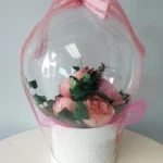 Aqua Ballons und Bobo-Ballons 6